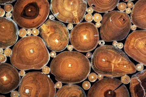Abstract background featuring tightly packed cross sections of wooden logs .. Stock Photos