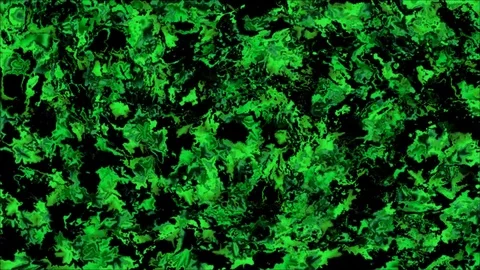 Abstract  background FF04 스톡 동영상 81039308