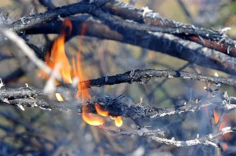 Abstract background the fire Stock Photos