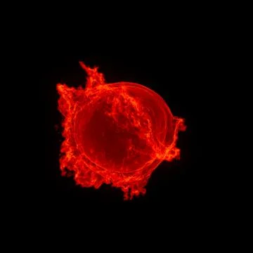 Abstract background of flames, burning heat, dancing fire, forming in wave flow. 스톡 일러스트