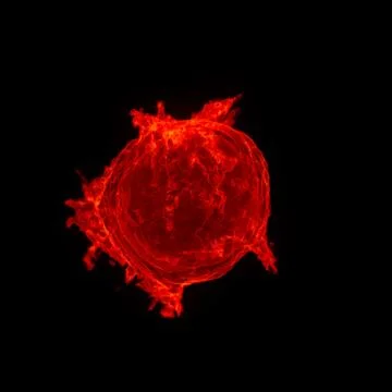 Abstract background of flames, burning heat, dancing fire, forming in wave flow. 스톡 일러스트