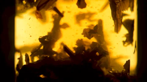 Abstract background of floating herbal particles in close-up. Video stock 136371407