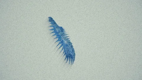 Abstract Background Floating Organic Form 5 스톡 동영상 97480893