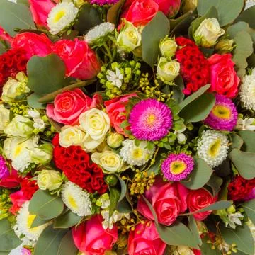 Abstract background of flowers. close-up. Stock Photos