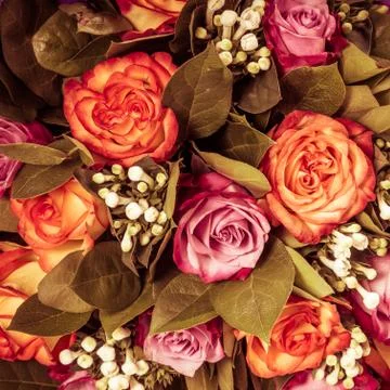 Abstract background of flowers. close-up. Stock Photos