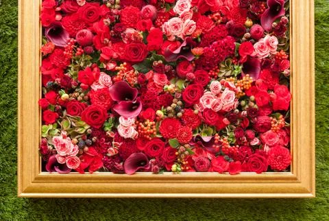 Abstract background of flowers. Close-up. Stock Photos