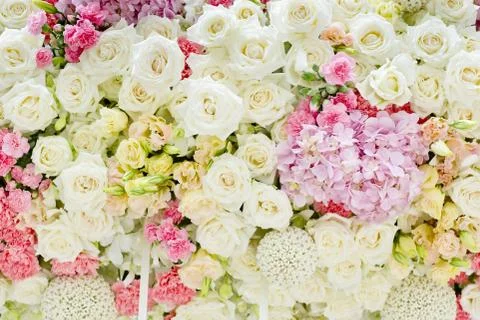 Abstract background of flowers. Close-up. Stock Photos