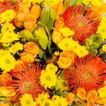 Abstract background of flowers. Close-up. Stock Photos