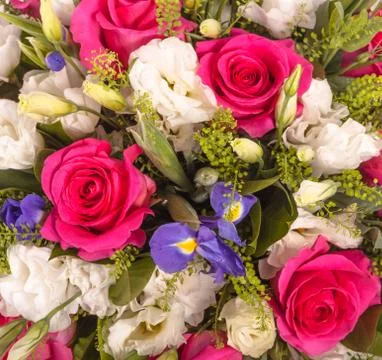 Abstract background of flowers. Close-up Stock Photos