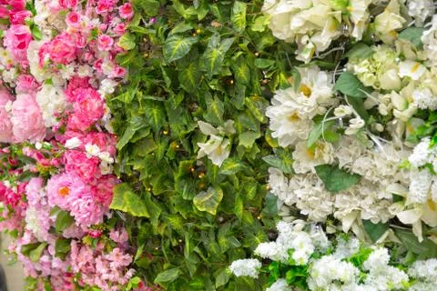 Abstract background of flowers. Close-up Stock Photos