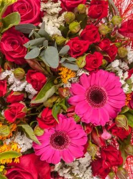 Abstract background of flowers. Close-up Stock Photos