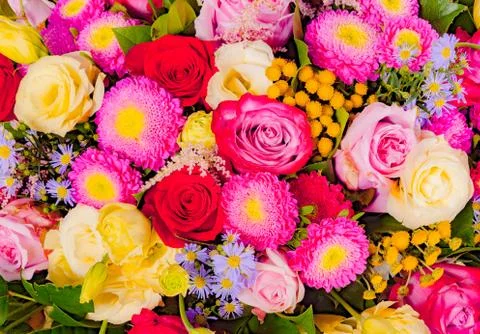 Abstract background of flowers. Close-up Stock Photos