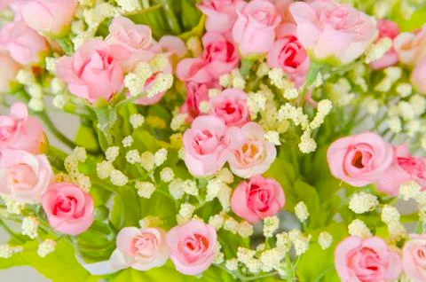 Abstract background of flowers. Close-up. Stock Photos