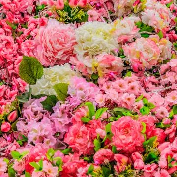 Abstract background of flowers. Close-up Stock Photos