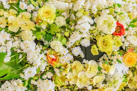 Abstract background of flowers. Close-up Stock Photos