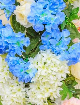 Abstract background of flowers. Close-up Stock Photos
