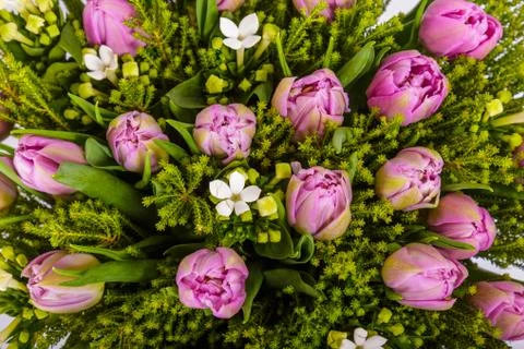 Abstract background of flowers. Close-up Stock Photos