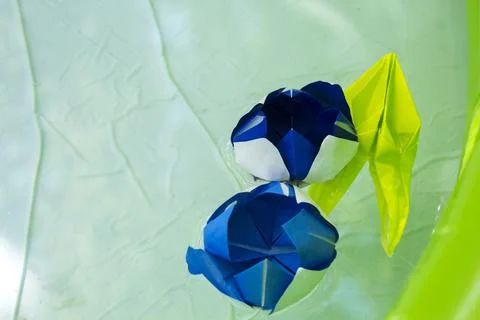 Abstract background of the flowers of colored paper Stock Photos