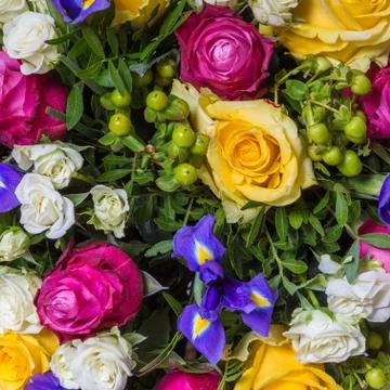 Abstract background of flowers Stock Photos
