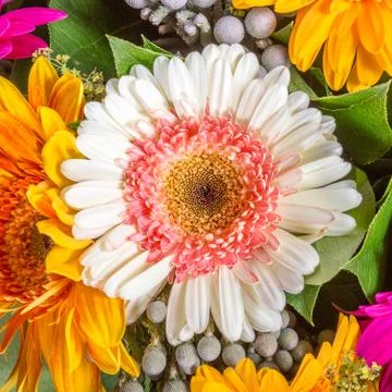 Abstract background of flowers Stock Photos