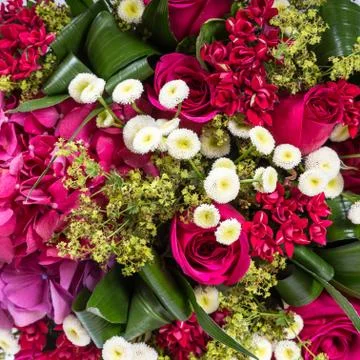 Abstract background of flowers Stock Photos