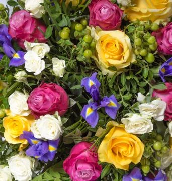 Abstract background of flowers Stock Photos