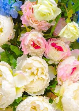Abstract background of flowers Stock Photos