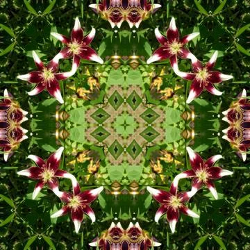 Abstract background of flowers Stock Photos