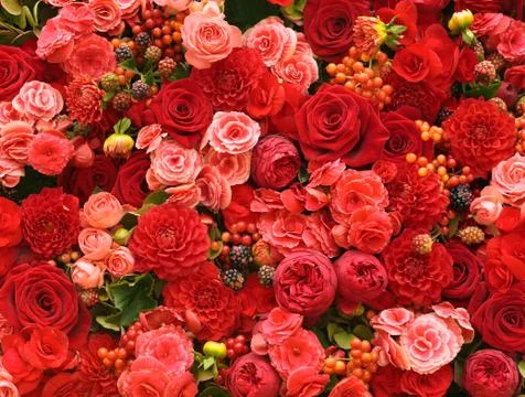Abstract background of flowers Stock Photos