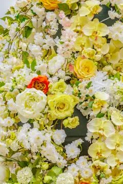 Abstract background of flowers Stock Photos