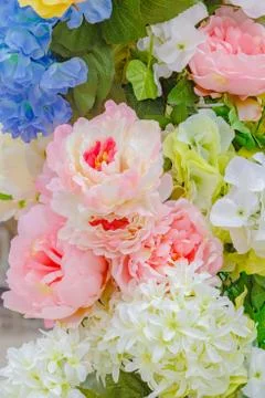 Abstract background of flowers Stock Photos