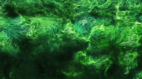 Abstract background, FLowing Lines, under water, green Stock Footage 188756570