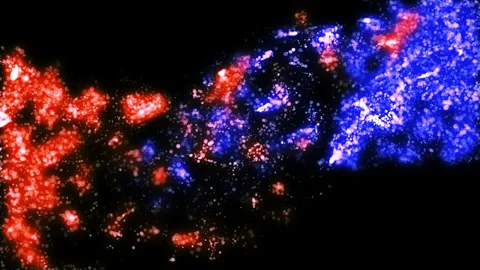 Abstract background of fluid particles Stock Footage 151654834