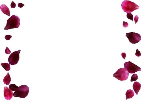 Abstract background with flying pink, red rose petals Stock Illustration