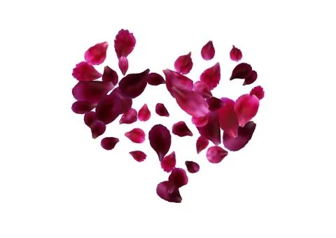 Abstract background with flying pink, red rose petals Stock Illustration