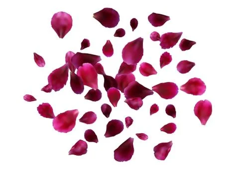 Abstract background with flying pink, red rose petals Stock Illustration