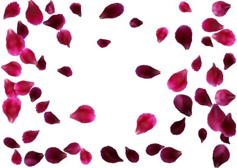 Abstract background with flying pink, red rose petals Stock Illustration