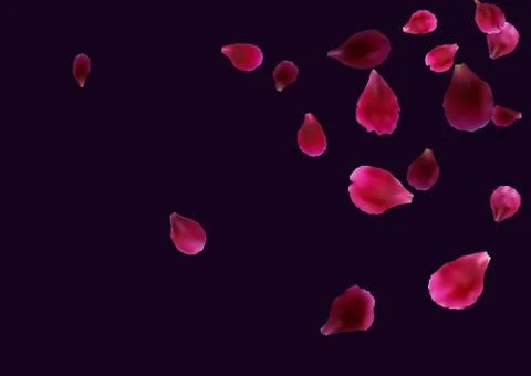 Abstract background with flying pink, red rose petals. Stock Illustration