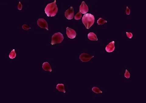 Abstract background with flying pink, red rose petals. Stock Illustration