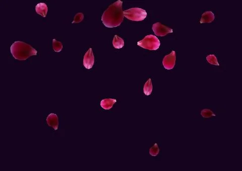 Abstract background with flying pink, red rose petals. Illustrazione stock