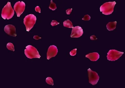 Abstract background with flying pink, red rose petals. Stock Illustration