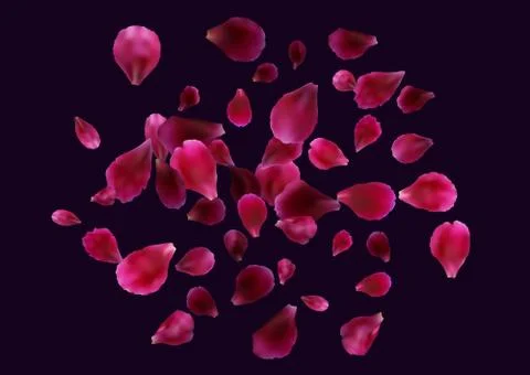 Abstract background with flying pink, red rose petals. Stock Illustration