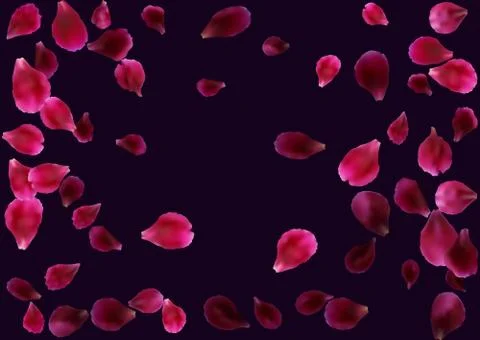 Abstract background with flying pink, red rose petals. Stock Illustration