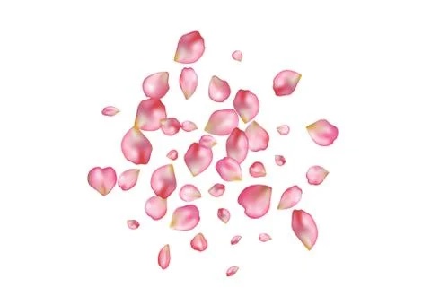 Abstract background with flying pink rose petals. Stock Illustration