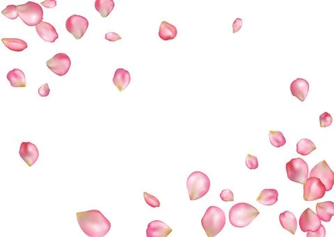 Abstract background with flying pink rose petals. Stock Illustration