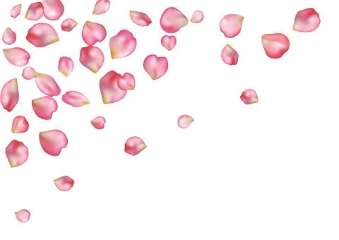 Abstract background with flying pink rose petals. Stock Illustration