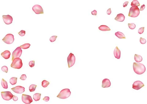 Abstract background with flying pink rose petals. Stock Illustration