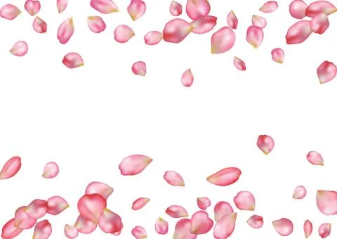 Abstract background with flying pink rose petals. Stock Illustration