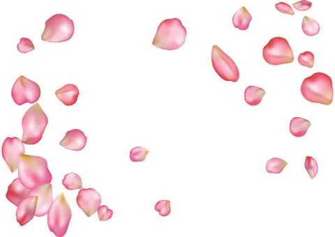 Abstract background with flying pink rose petals. Stock Illustration
