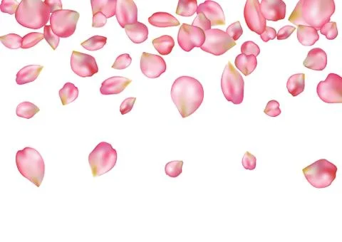 Abstract background with flying pink rose petals. Stock Illustration